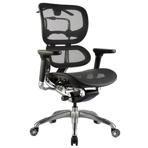 Ergo-1L Chair in Black Mesh
